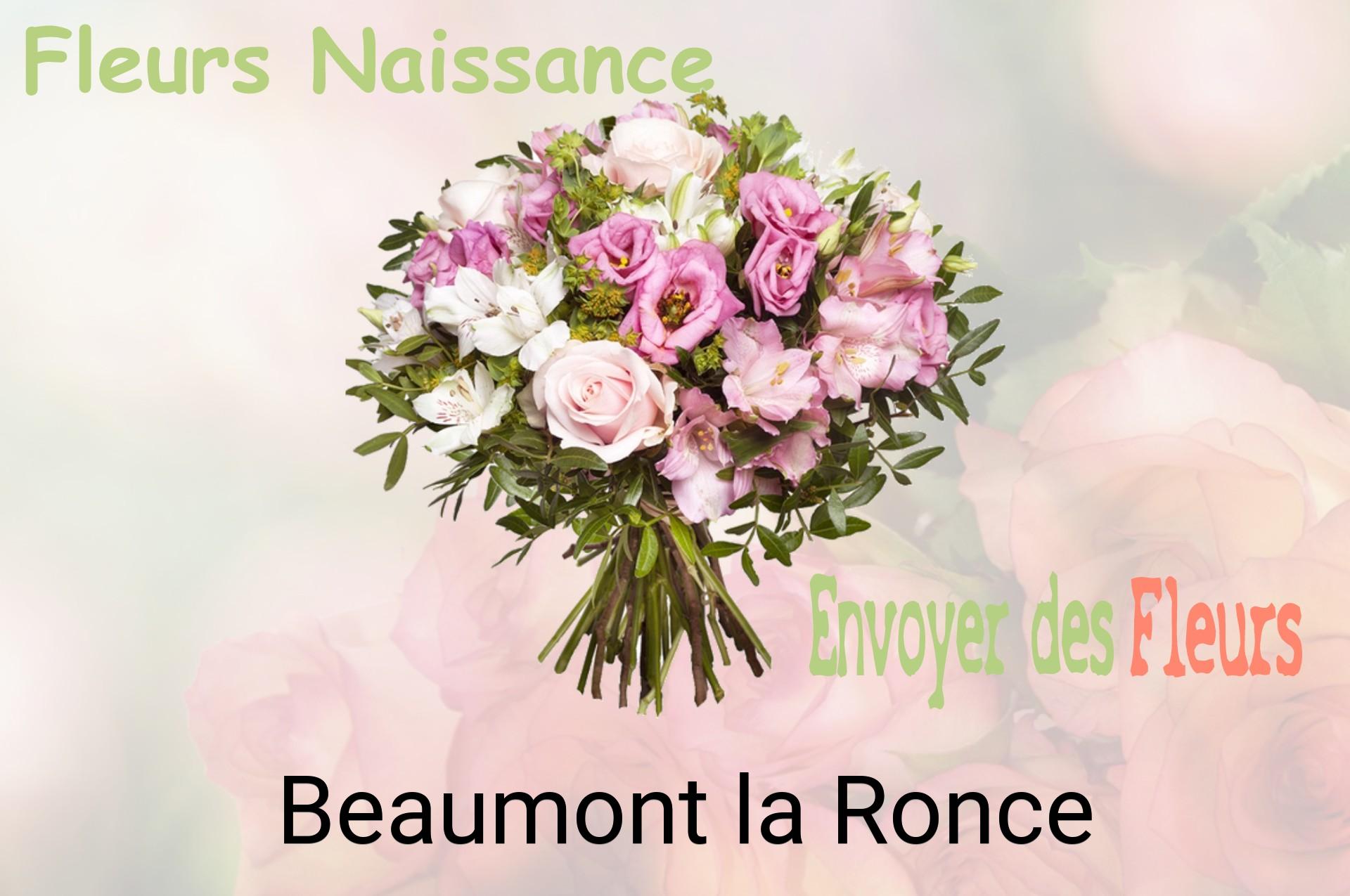 Bouquet de fleurs de naissance livré à Beaumont-la-Ronce